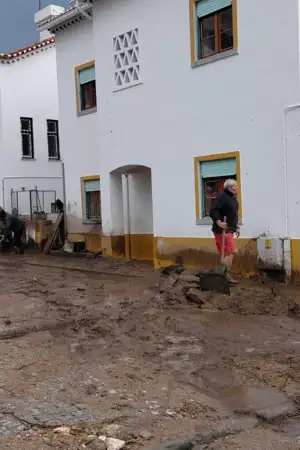 46 mil clientes continuam sem eletricidade em Portugal continental após mau tempo